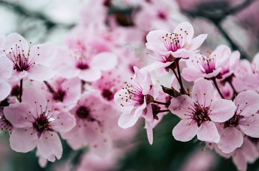 website seo growth authority