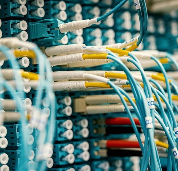 creative digital suite online network