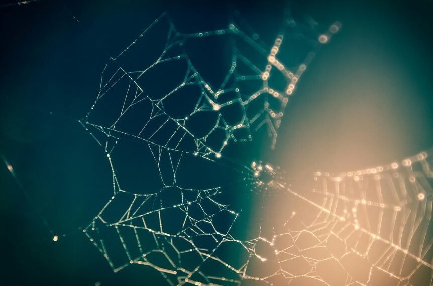 creative web network identifier 913247417